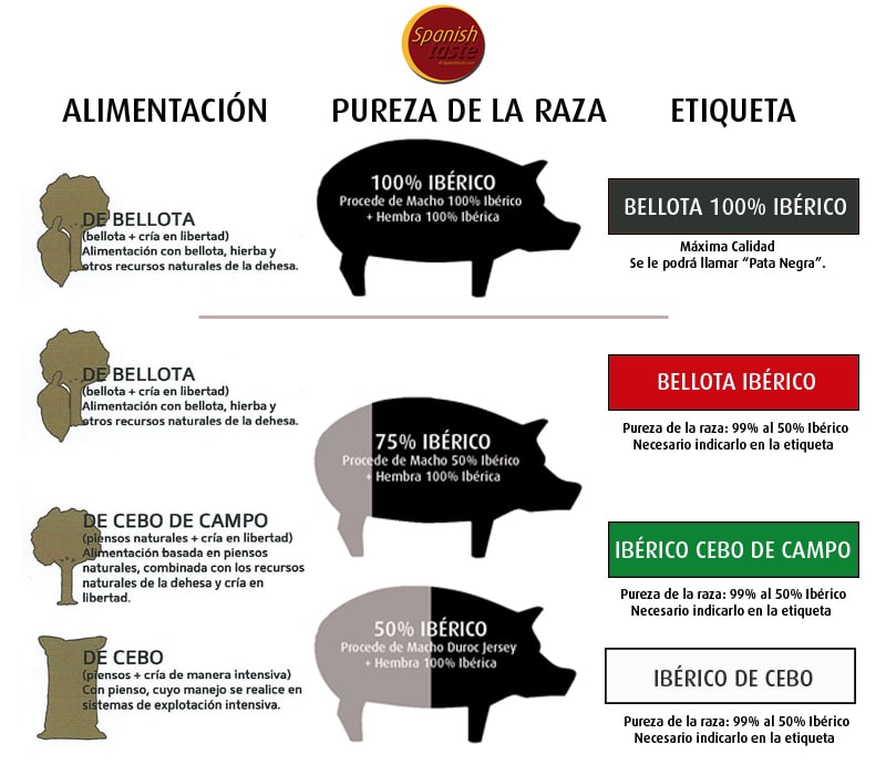 How to recognize a Pata Negra ham?