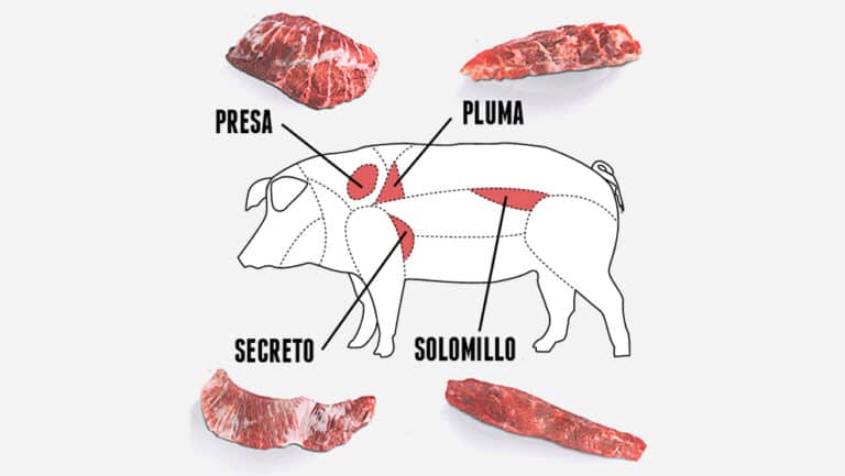 Presa pluma secreto iberico