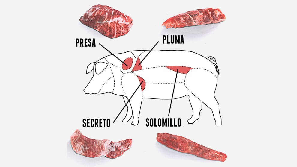 Presa pluma secreto iberico